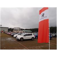 Peugeot Meeting16-06.JPG
